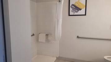 Een badkamer met een douche, toilet en een kunstwerk in een lijst.