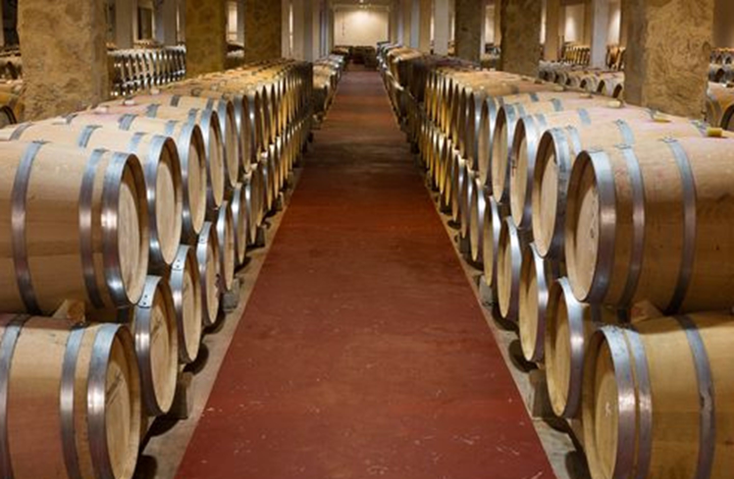 Foto - Hotel Torremilanos