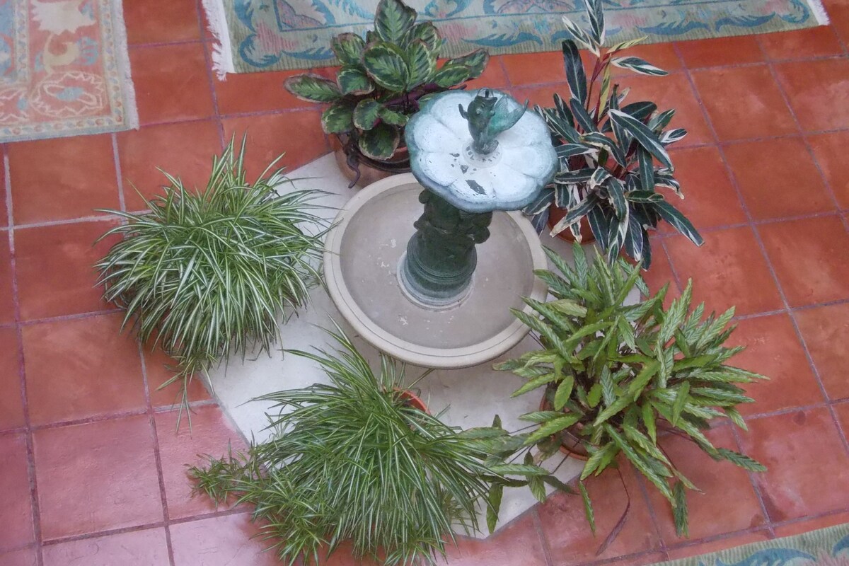 Een betegeld terras met een fontein in het midden, omringd door verschillende plantenpotten.
