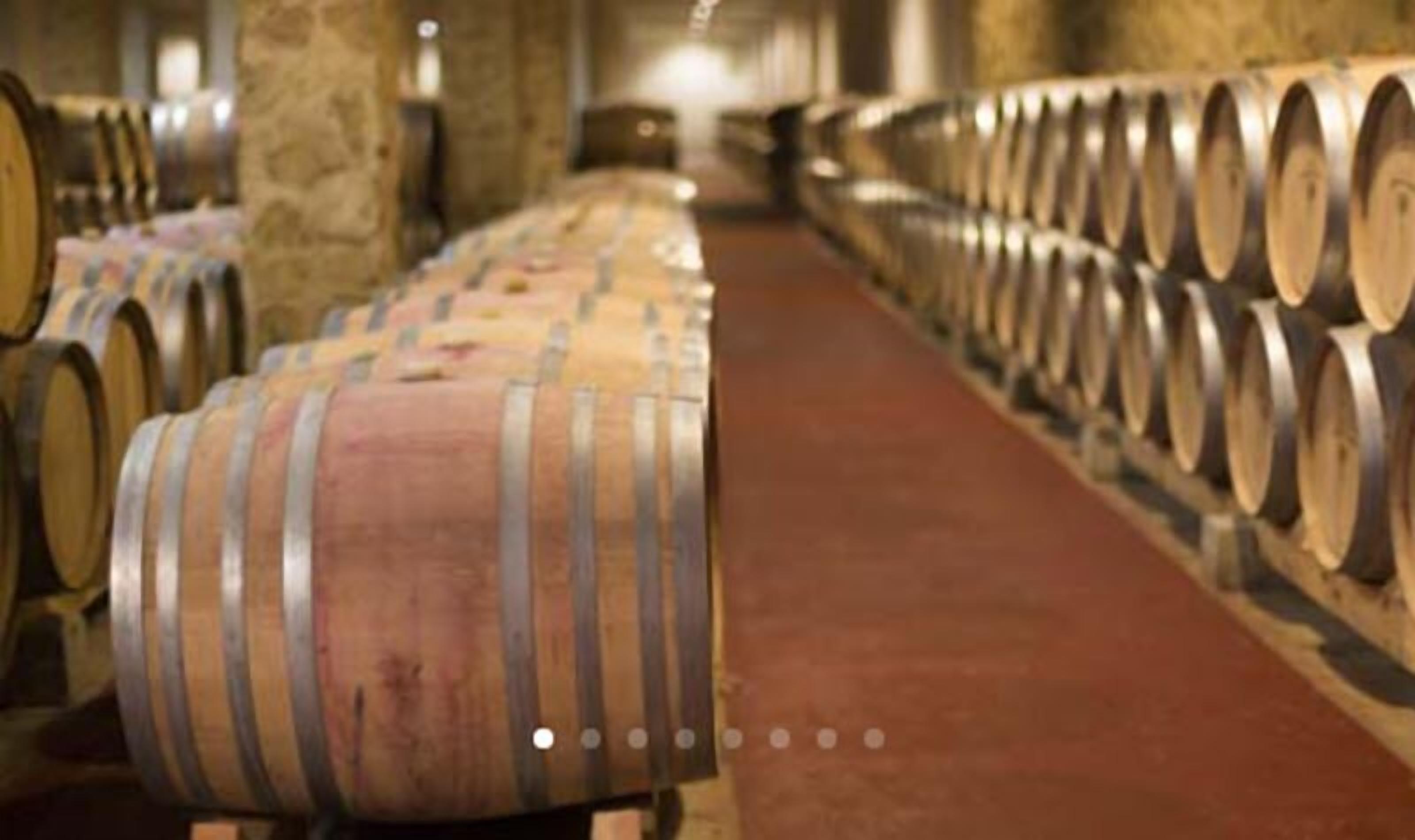 Foto - Hotel Torremilanos