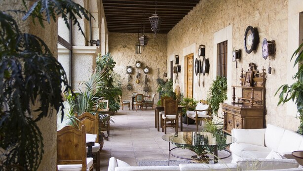 Un interior acogedor y rústico con muebles de madera, una mesa de centro de vidrio y diversas plantas.
