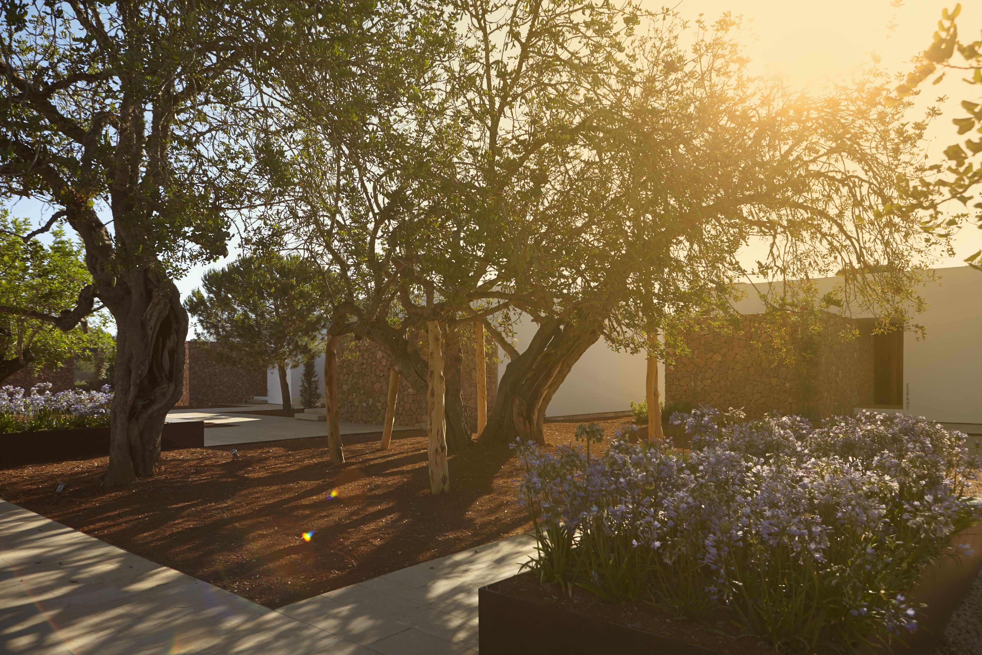 Foto - Ca Na Xica - Hotel & Spa