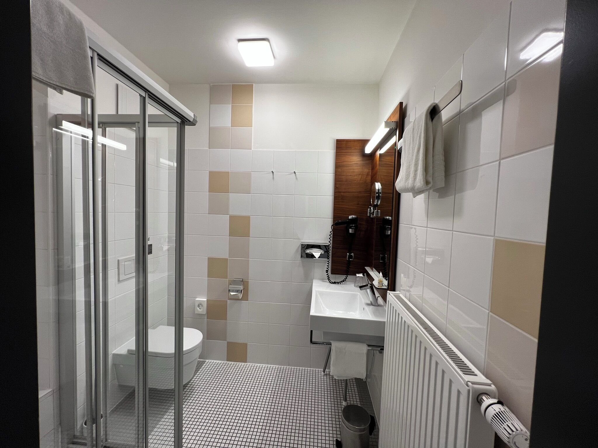 business single room | bathroom | shower, free toiletries, hair dryer, towels