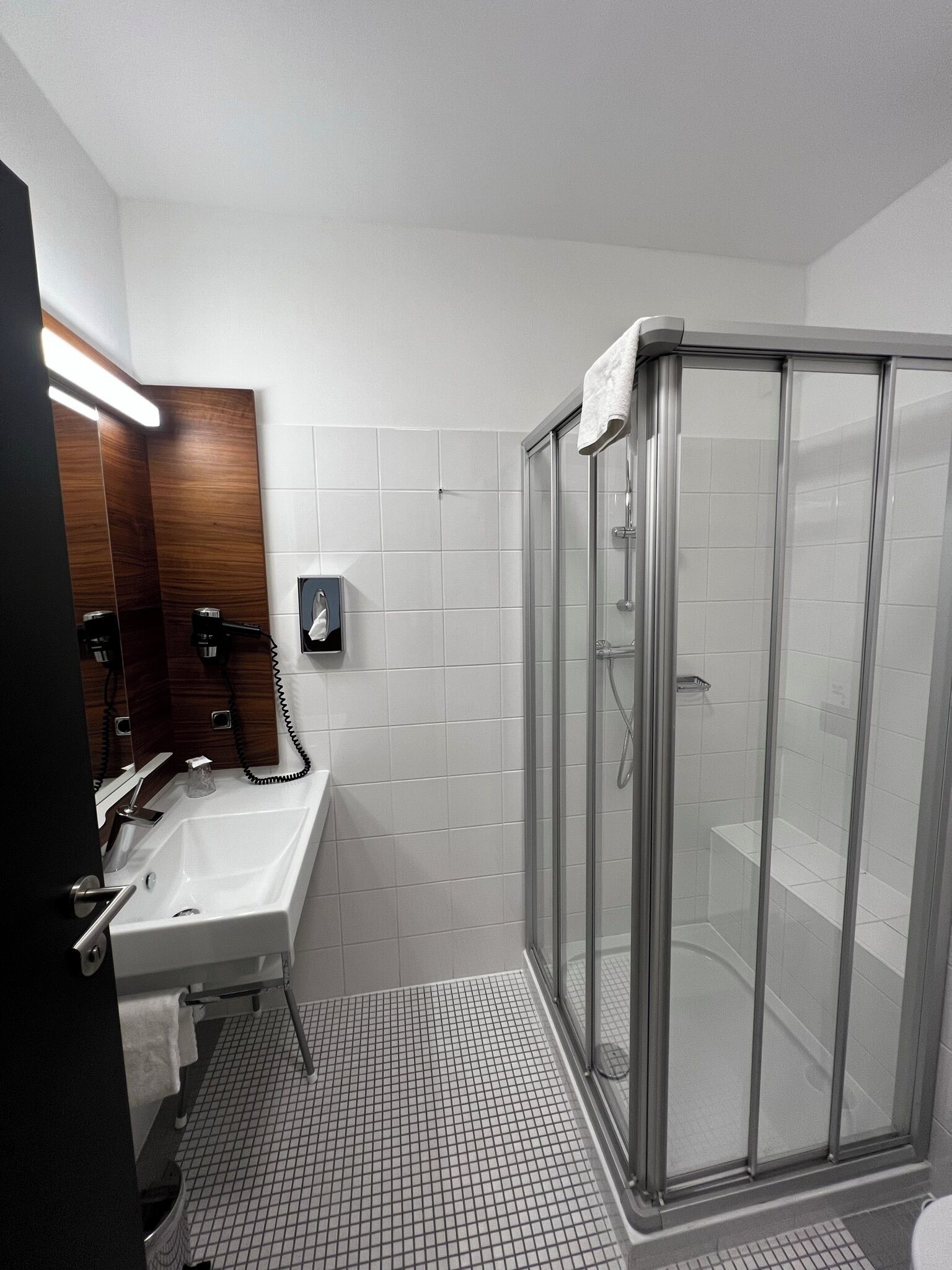 business single room | bathroom | shower, free toiletries, hair dryer, towels
