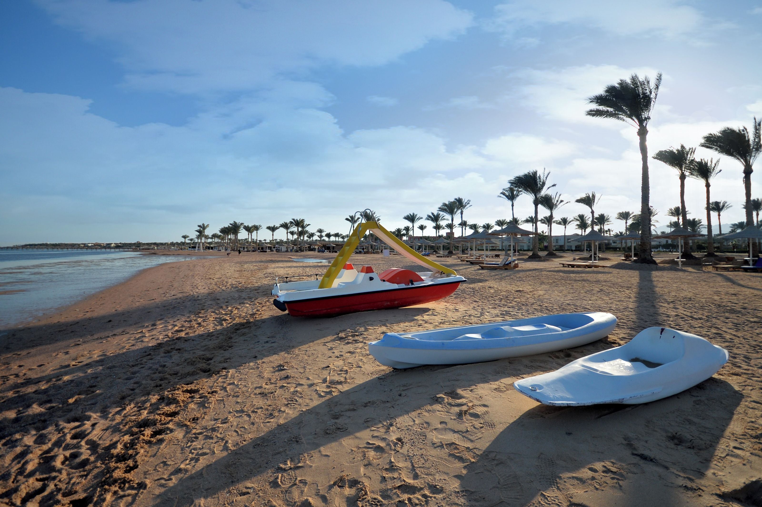 A beach with a row of palm trees, a boat, and a row of beach umbrellas.