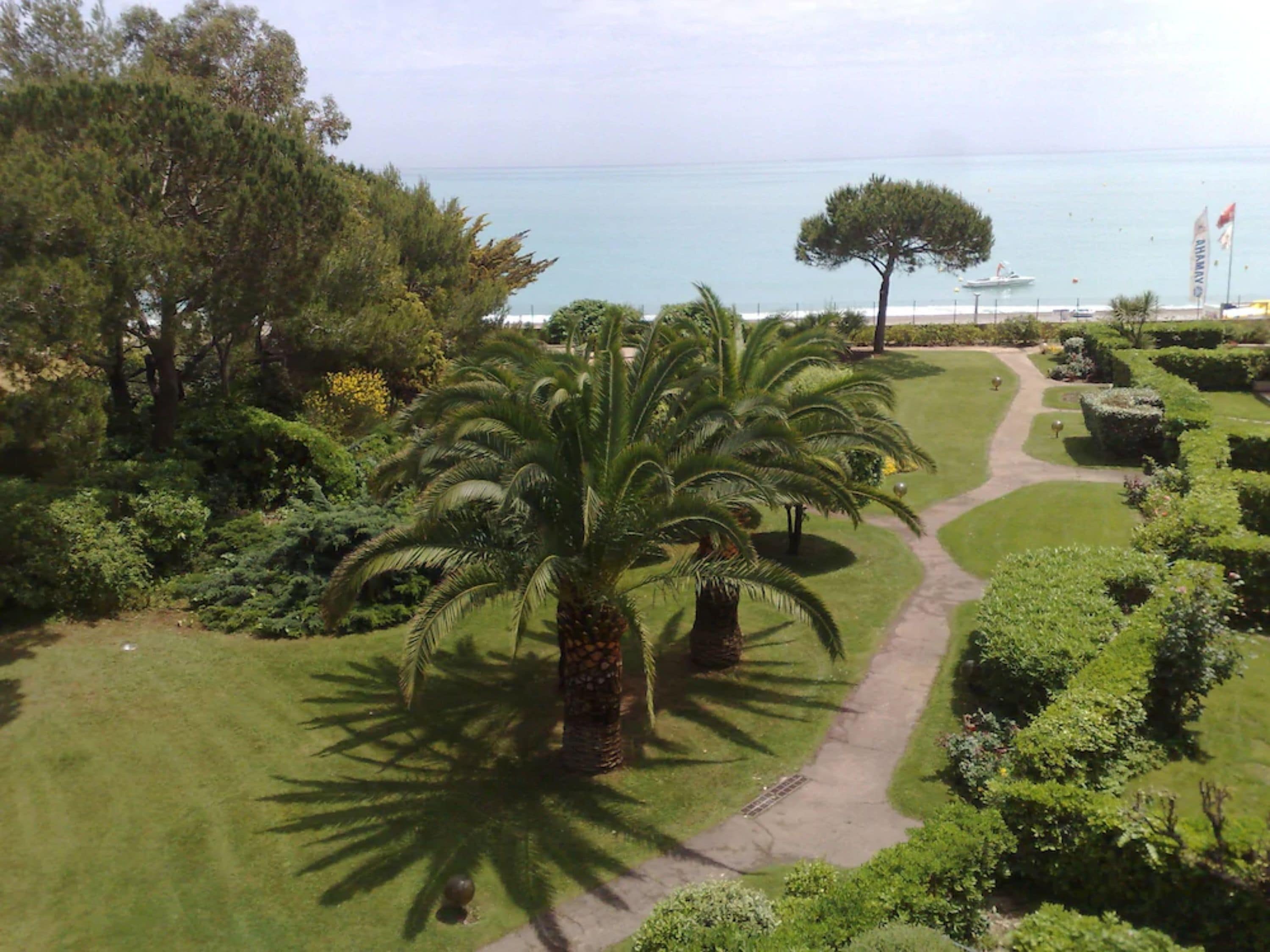 Un jardin aménagé avec des palmiers et un sentier menant à la mer.