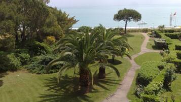 Un jardin aménagé avec des palmiers et un sentier menant à la mer.