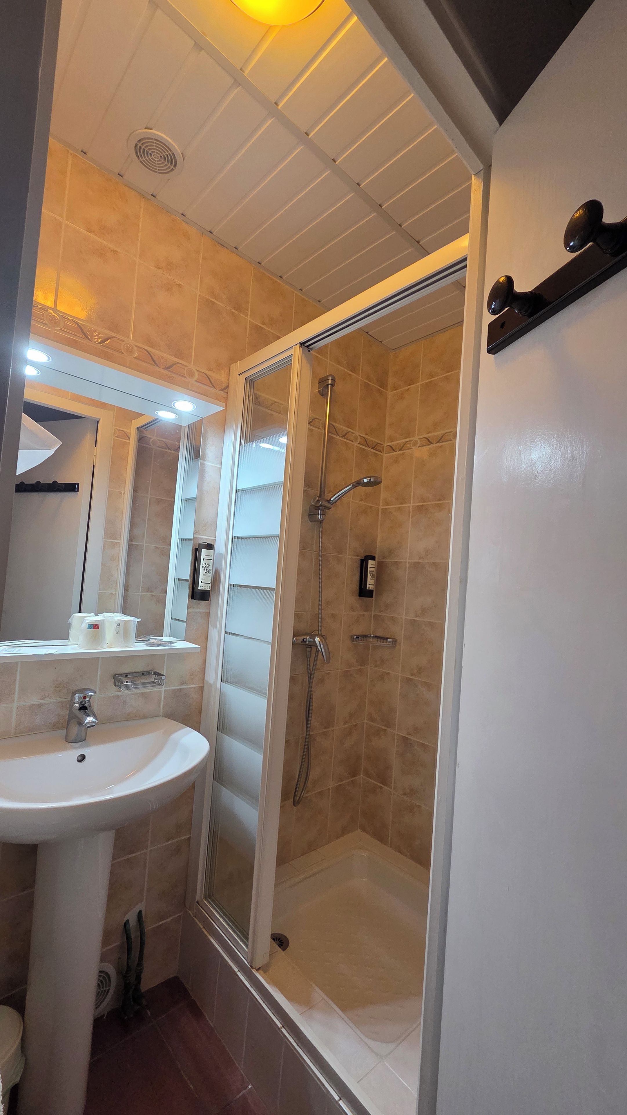A bathroom with a shower, sink, and mirror.