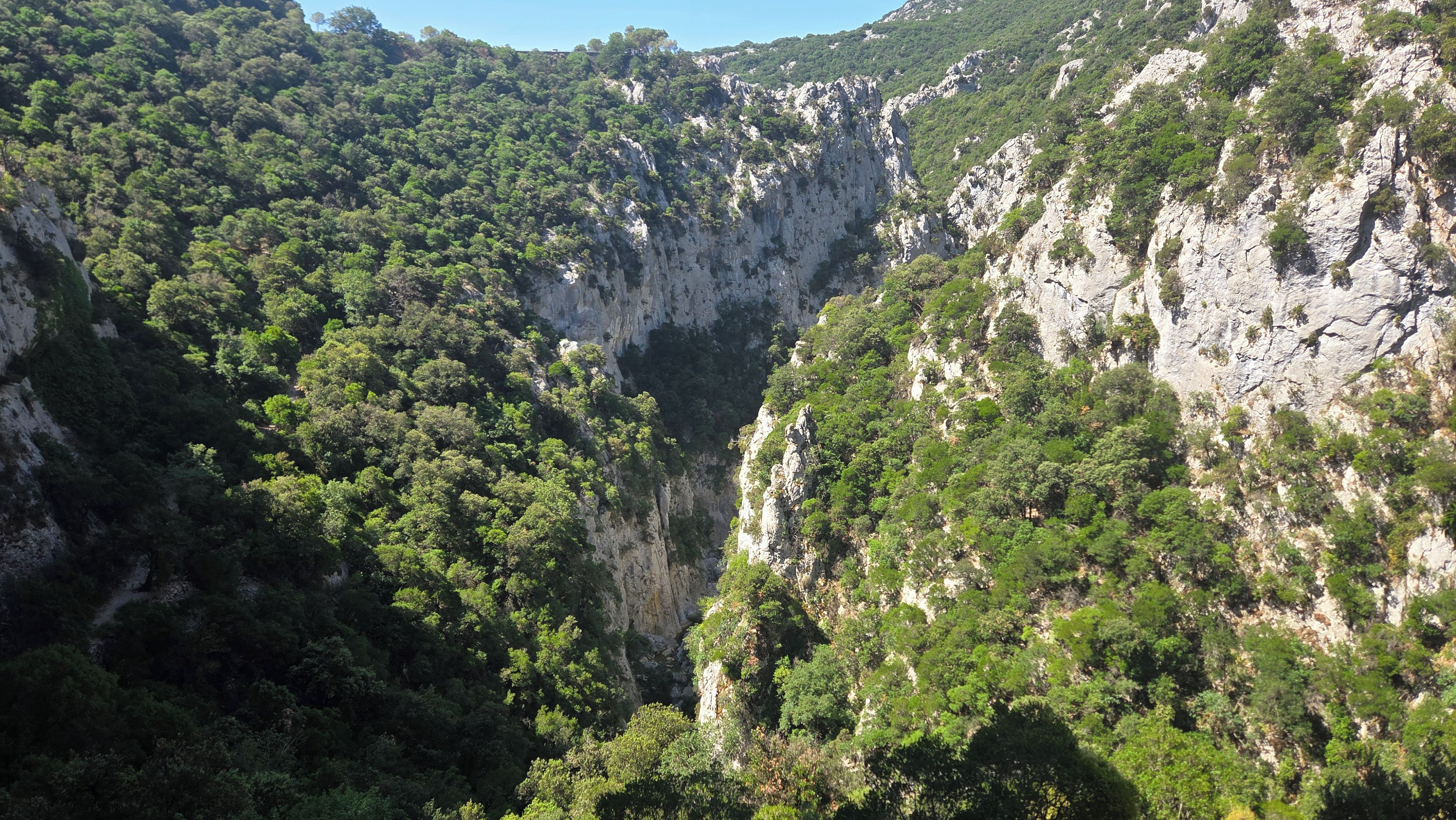 A mountainous landscape with dense forest and rocky cliffs.