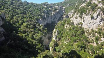 A mountainous landscape with dense forest and rocky cliffs.