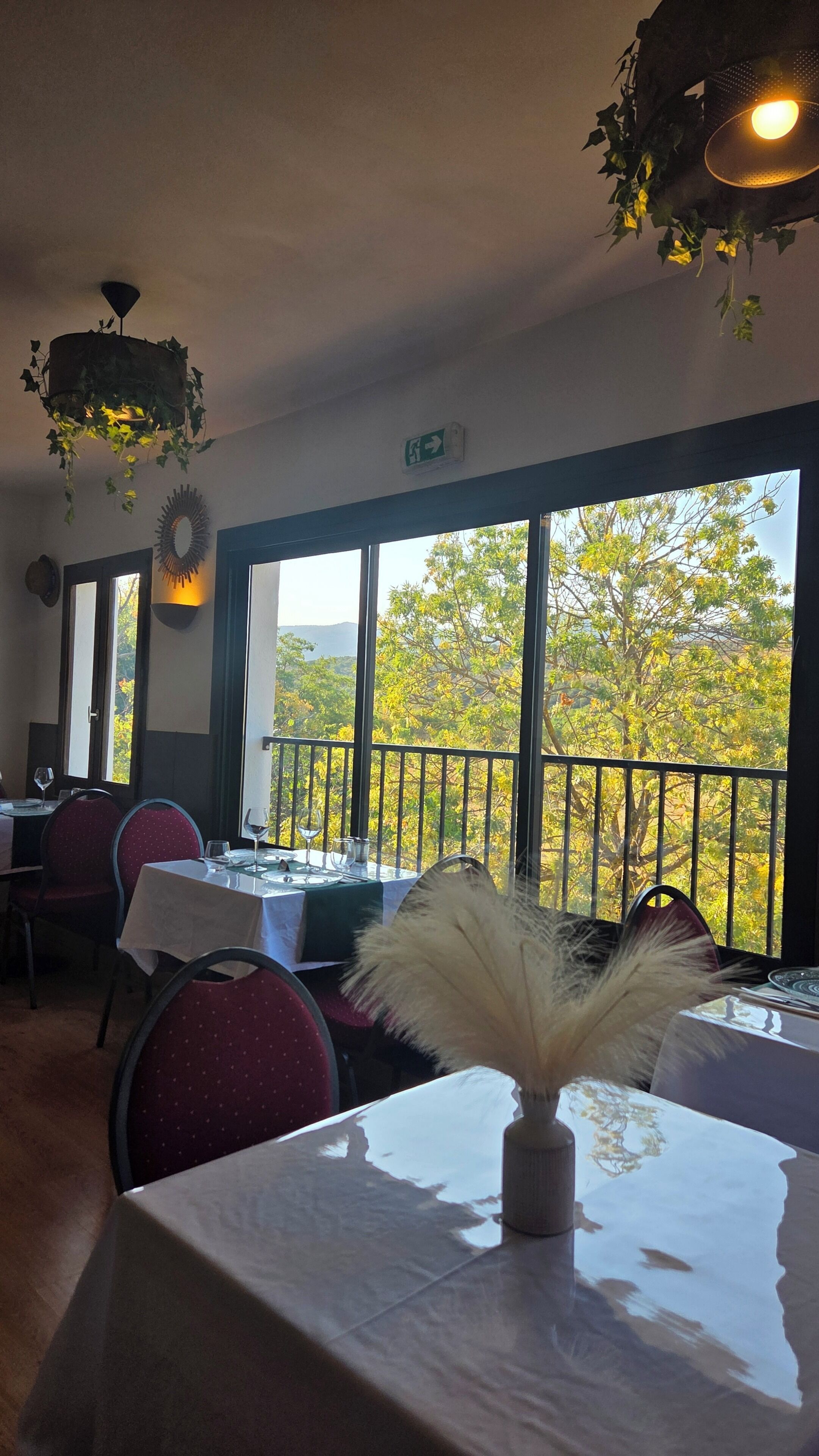 Un espace de restauration intérieur avec des tables, des chaises et une vue sur les arbres à travers de grandes fenêtres.