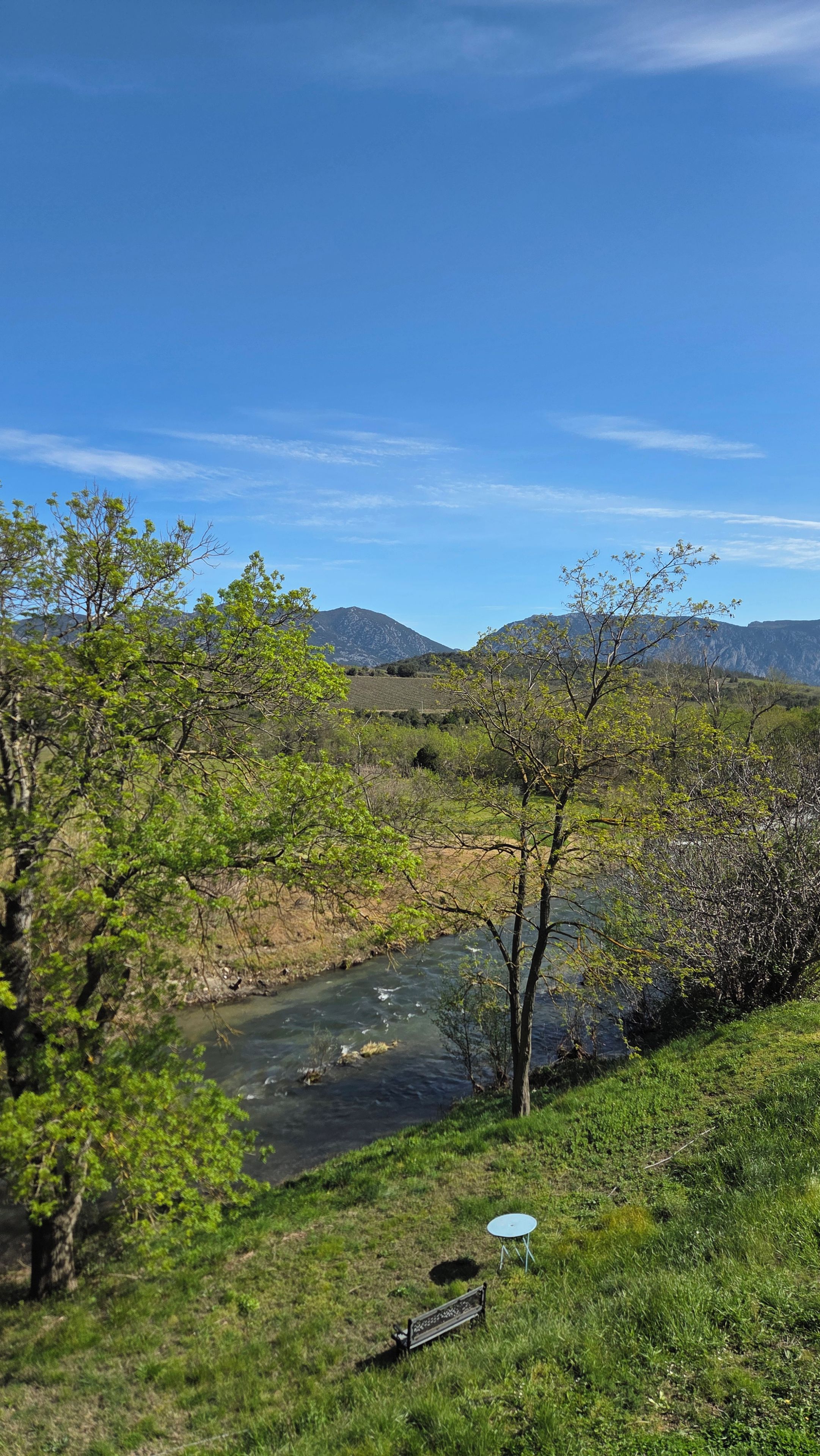 Ein Fluss fließt durch eine grüne Landschaft mit Bäumen und Bergen im Hintergrund.