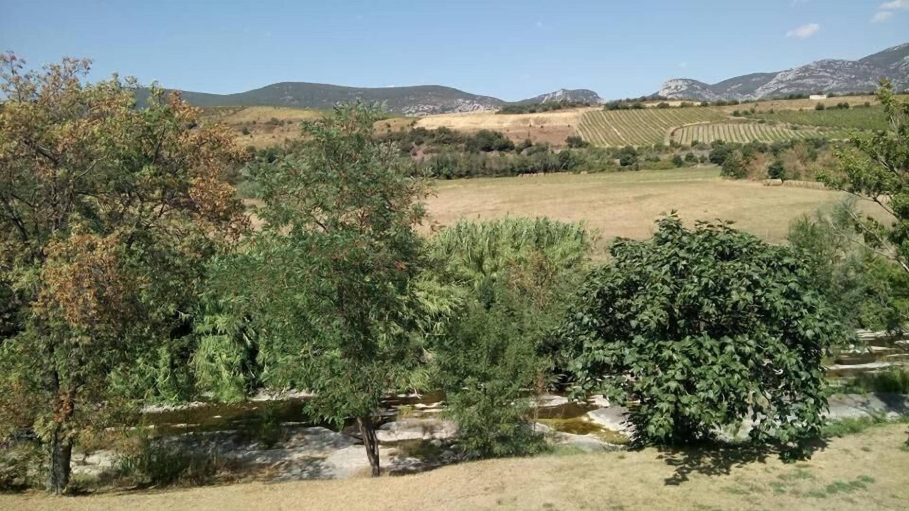 A rural landscape with a field, trees, and distant mountains.