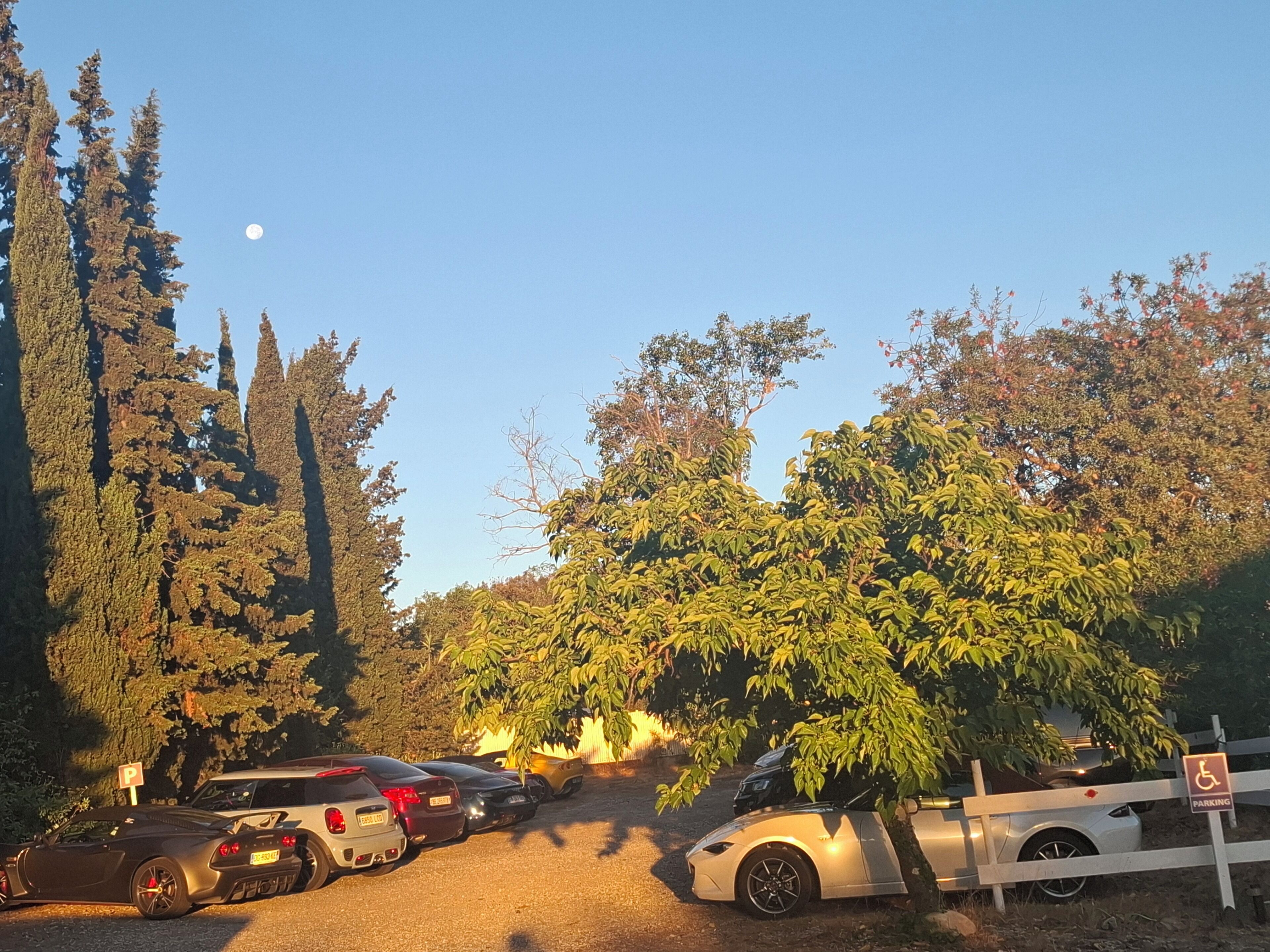 Un espace de stationnement avec plusieurs voitures, un panneau indiquant les places réservées aux personnes handicapées et des arbres en arrière-plan.