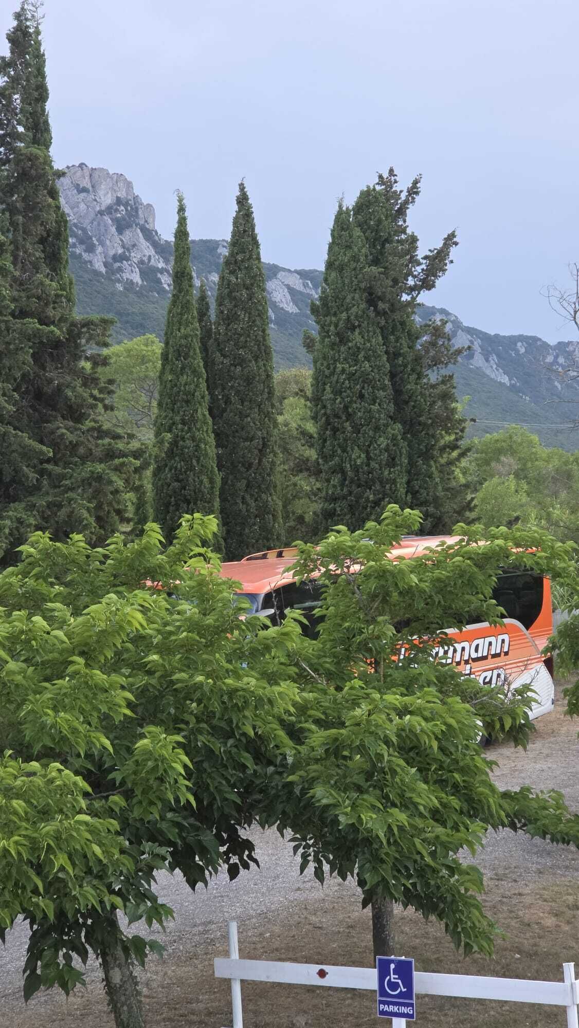 Un área de estacionamiento con un letrero de estacionamiento para discapacitados, rodeada de follaje y con una montaña al fondo.