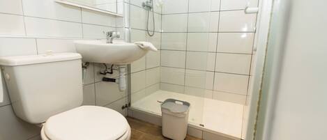 A bathroom with a toilet, sink, and shower.