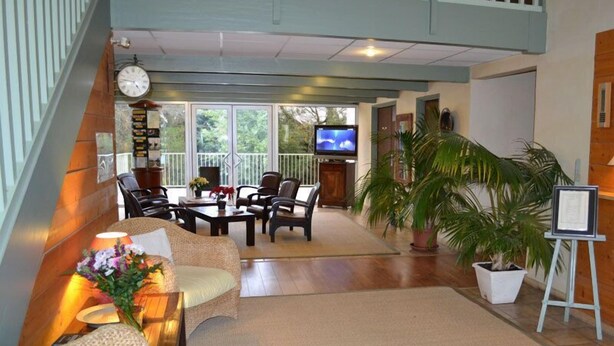 A spacious living room with a large TV, comfortable seating, and a potted plant. - Citotel les Alizes (Eysines)