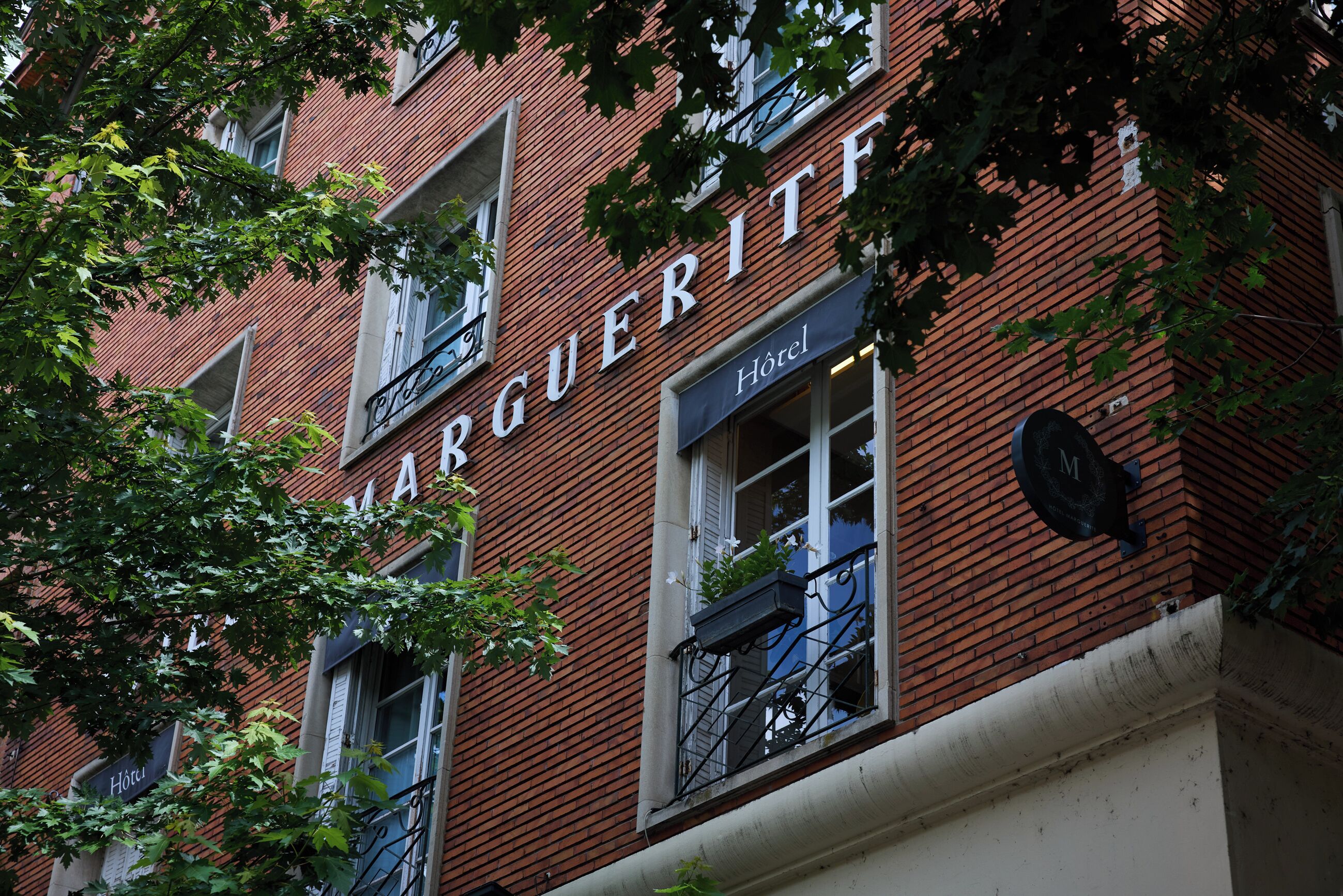 Foto - Marguerite