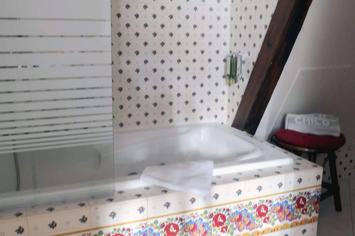 free toiletries, hair dryer, towels