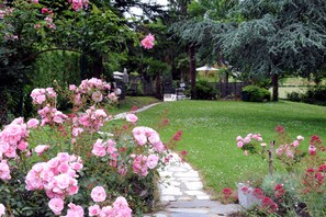 Un sentier de jardin bordé de rosiers roses, un chemin de pierres et une pelouse verdoyante.