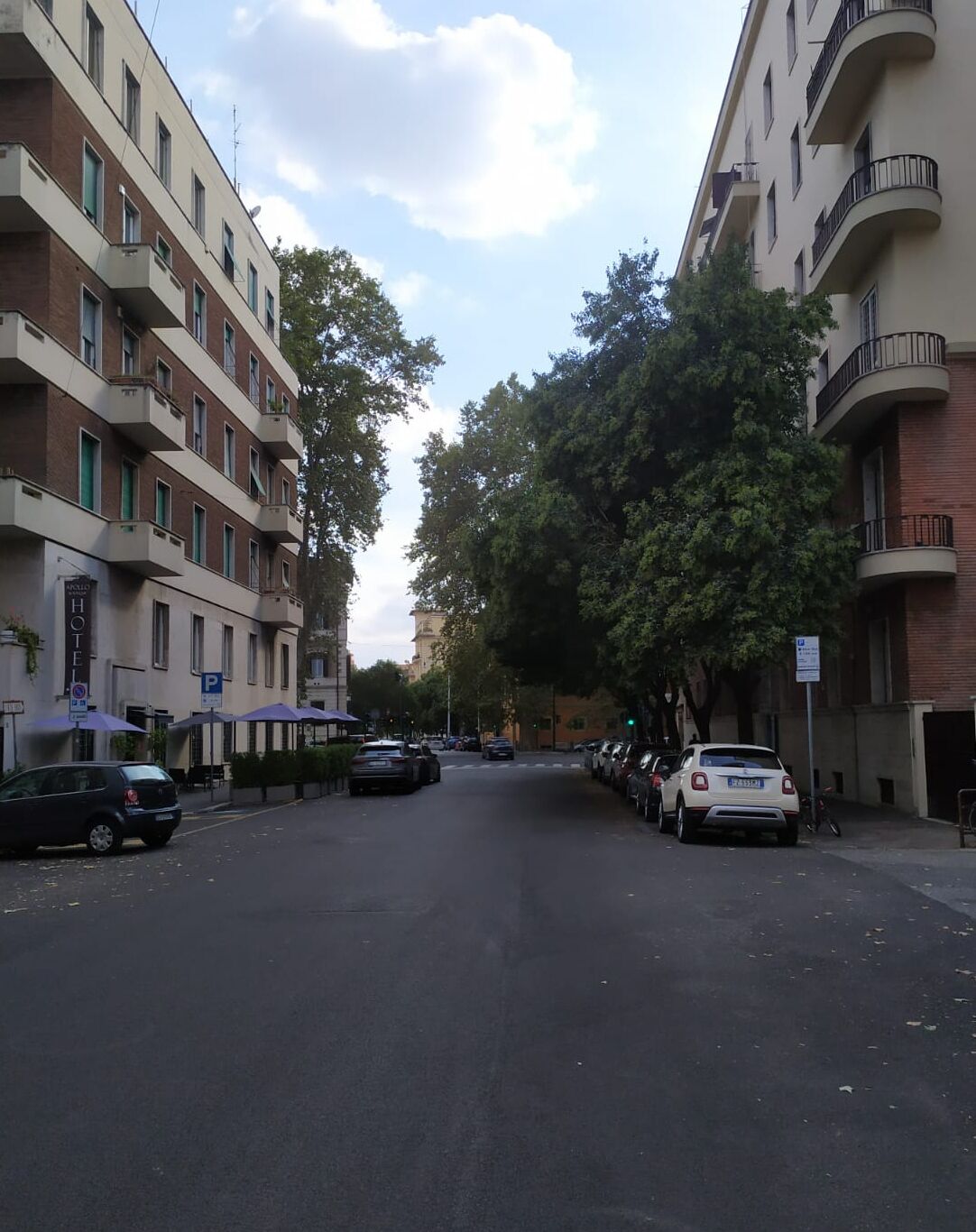 Photo - New Paradise