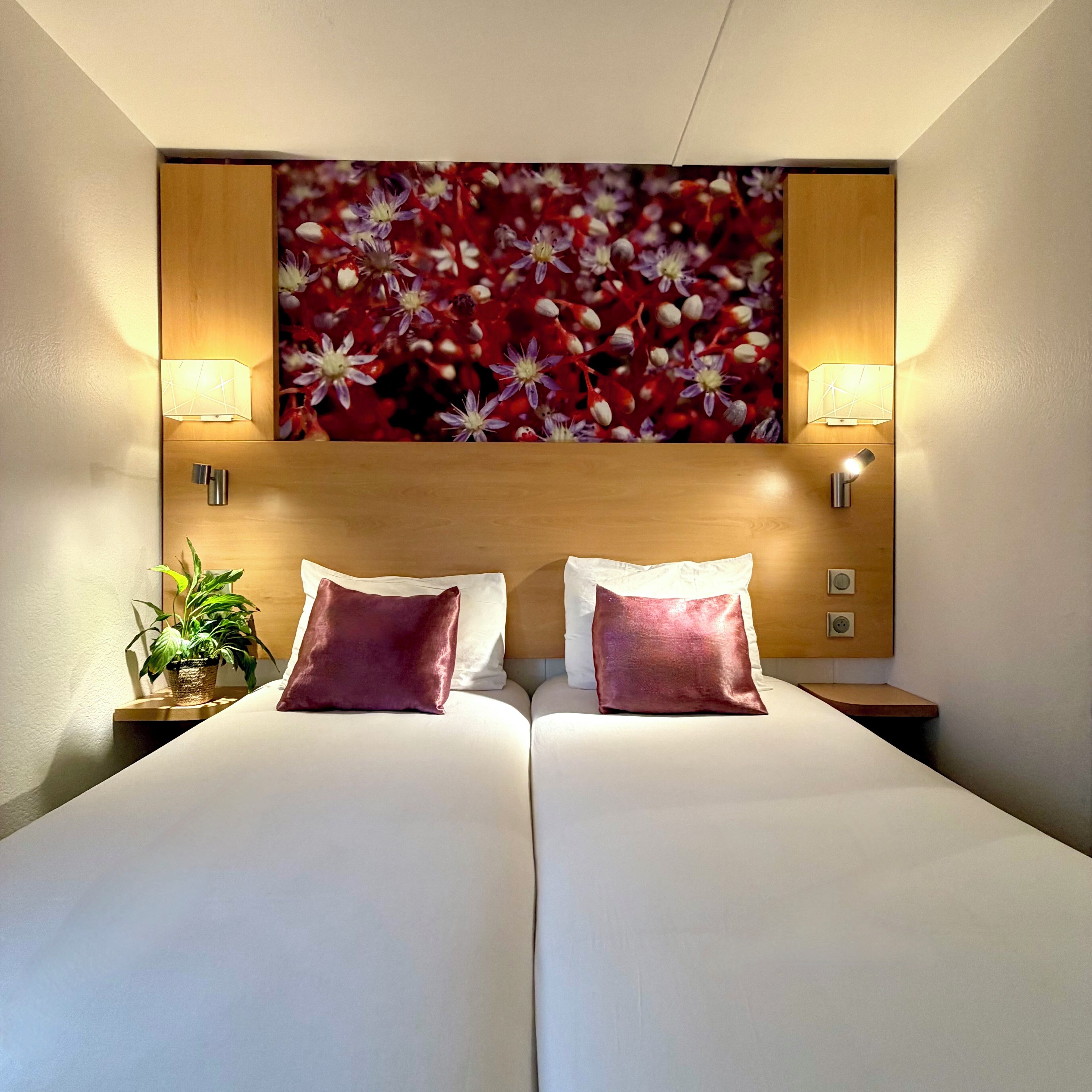 Chambre avec lits jumeaux