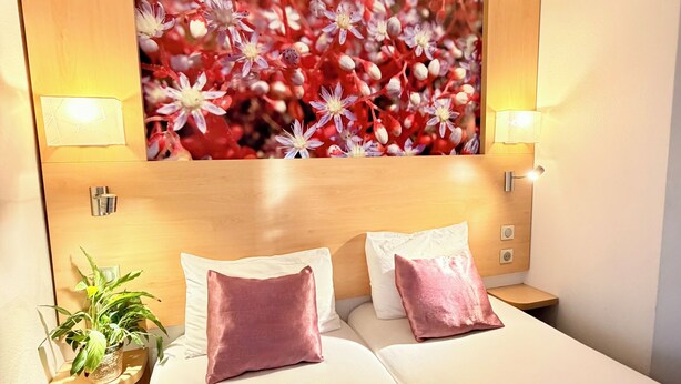 Twin Room - Fasthôtel Orléans Sud Zénith (Orléans)