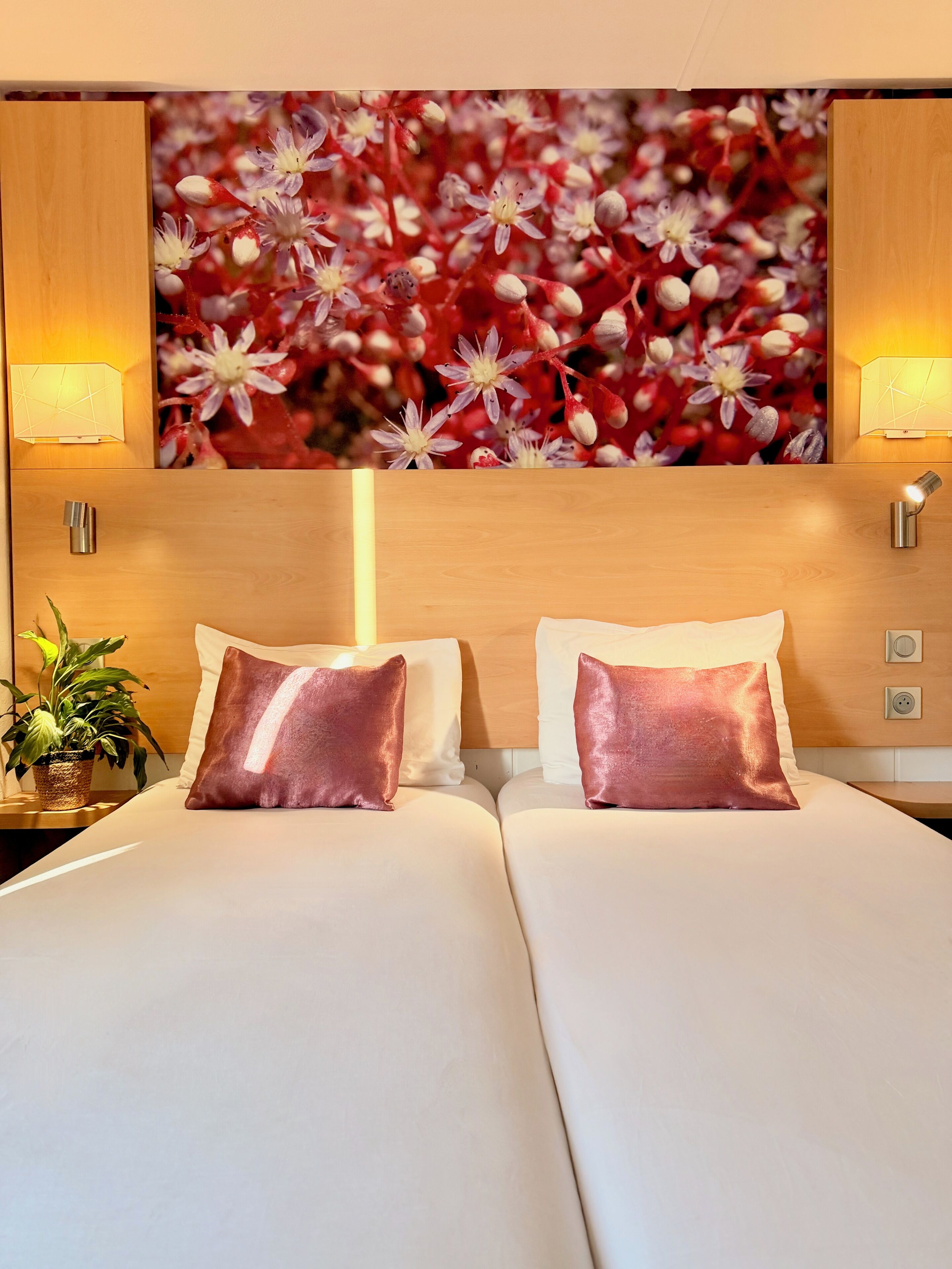 Photo - Fasthotel Orleans Zénith