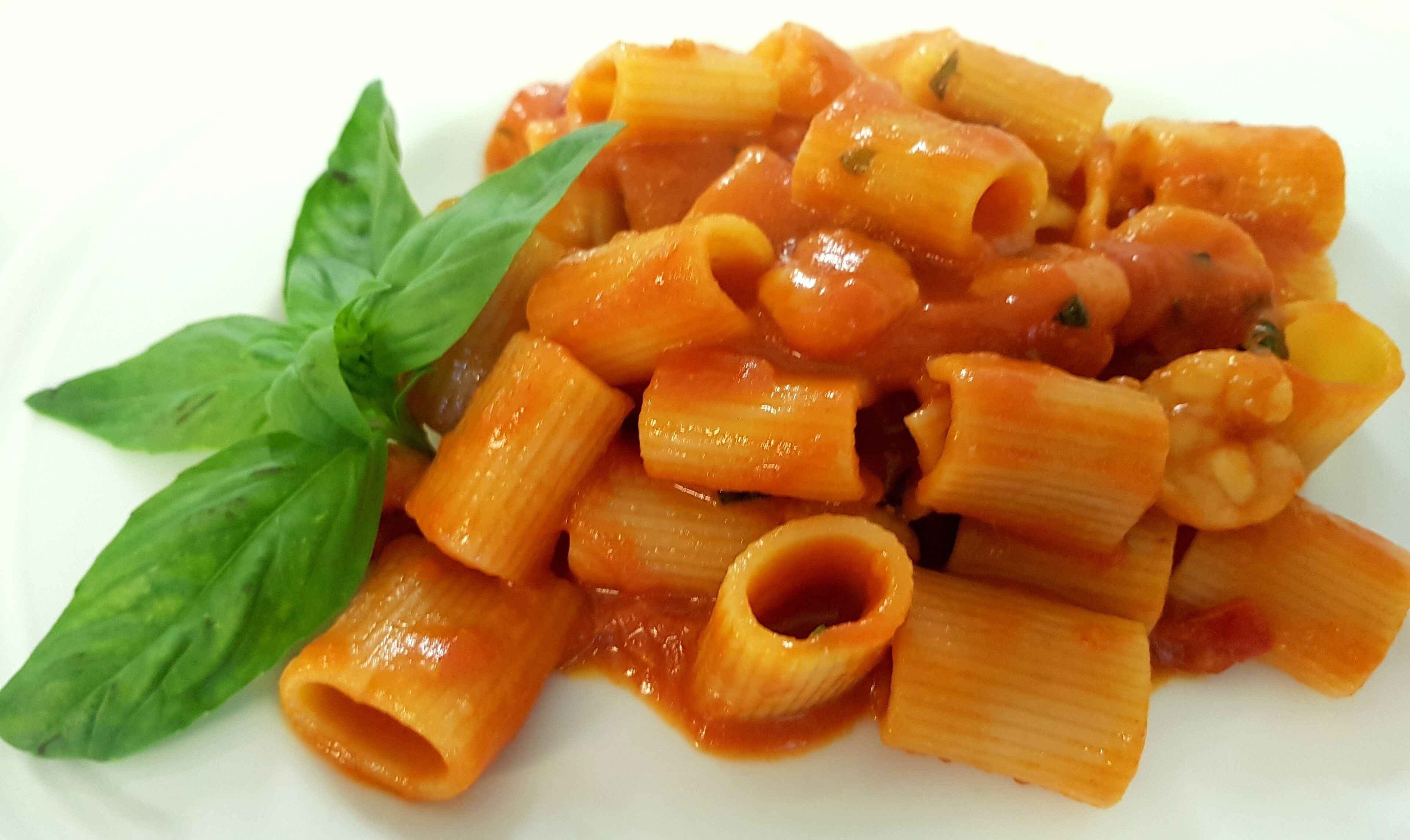 Ein Teller Penne-Pasta mit Tomatensauce und Basilikumblatt-Garnitur.