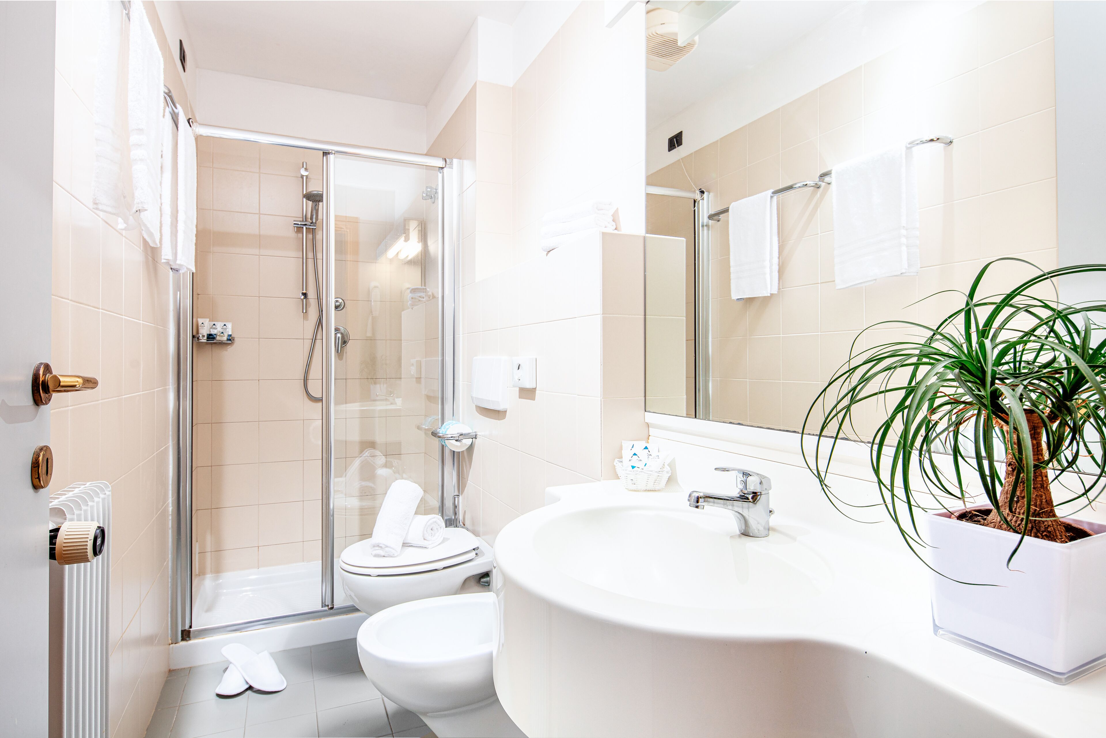 shower, free toiletries, hair dryer, towels