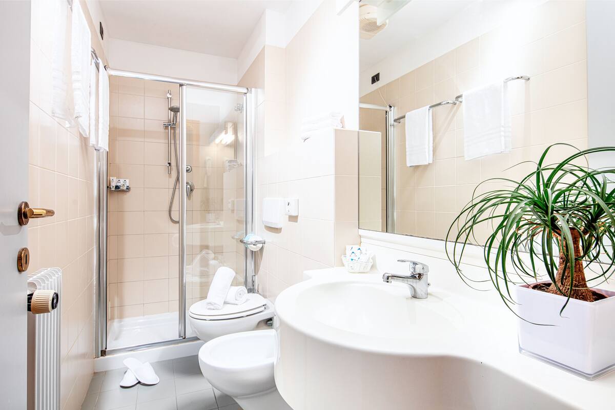 shower, free toiletries, hair dryer, towels