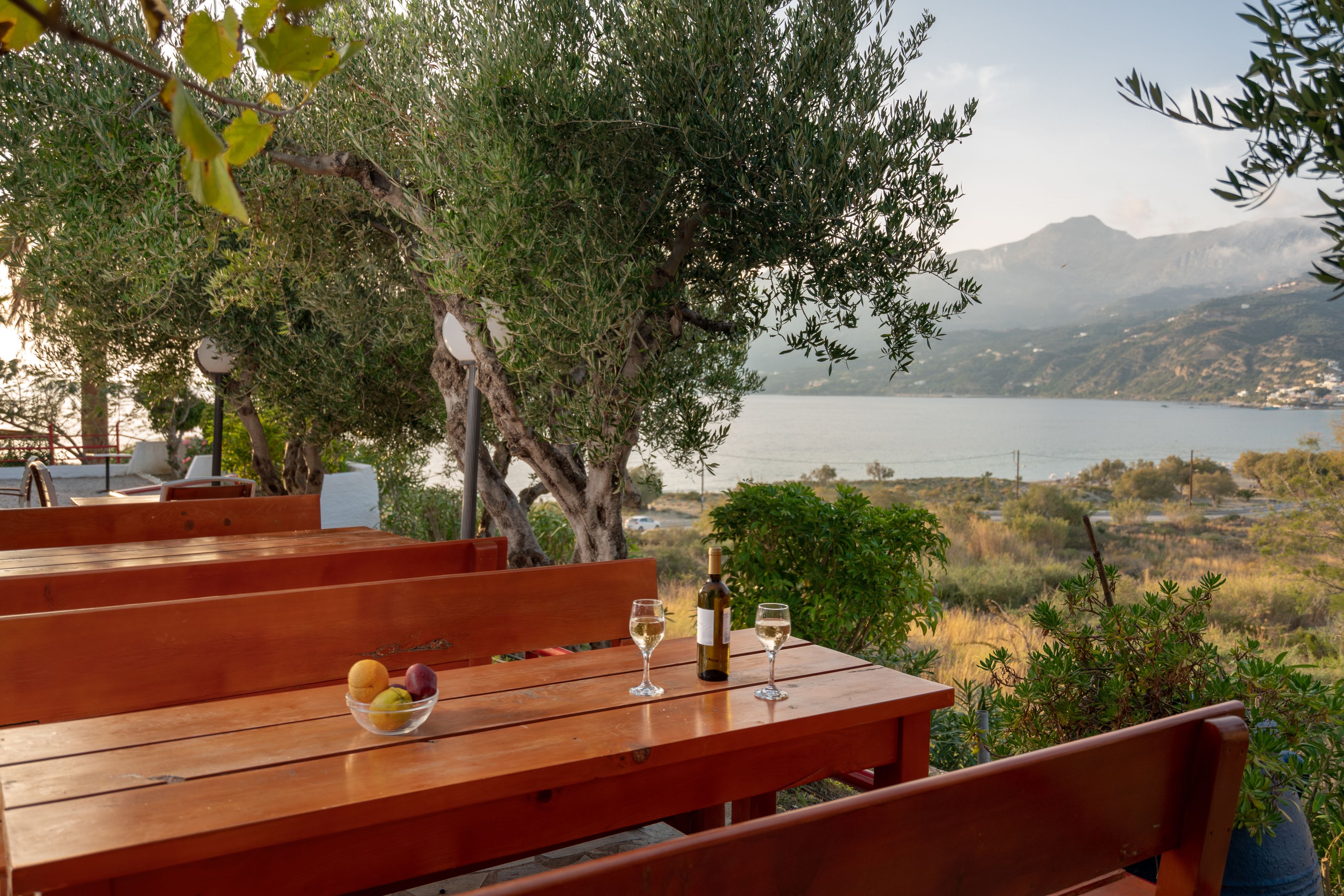 A wooden table with a bowl of fruit and two wine glasses, overlooking a lake and mountains.