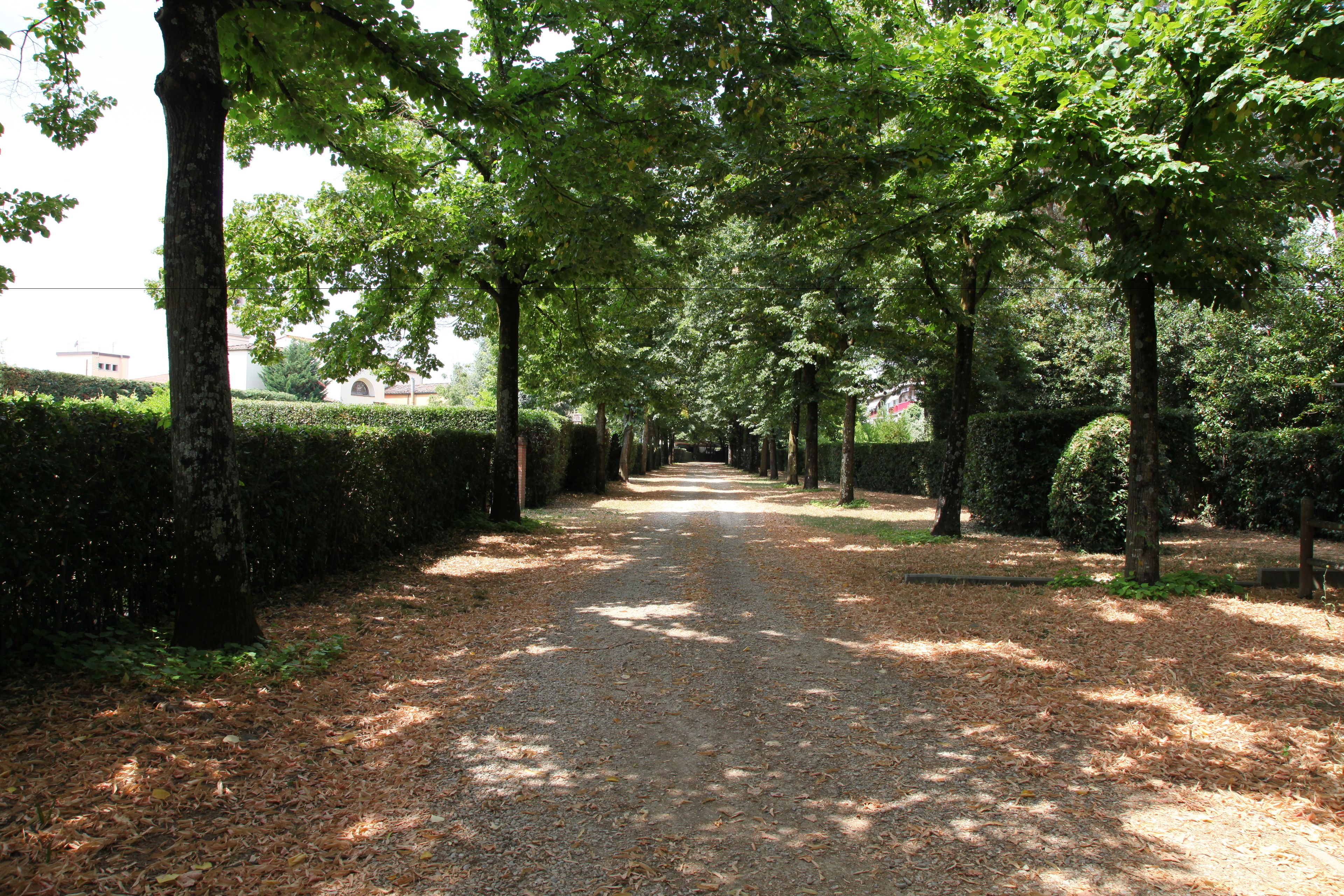 Foto - Rovezzano B&B