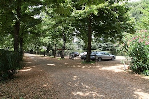 Parking sans voiturier (15 EUR par jour)