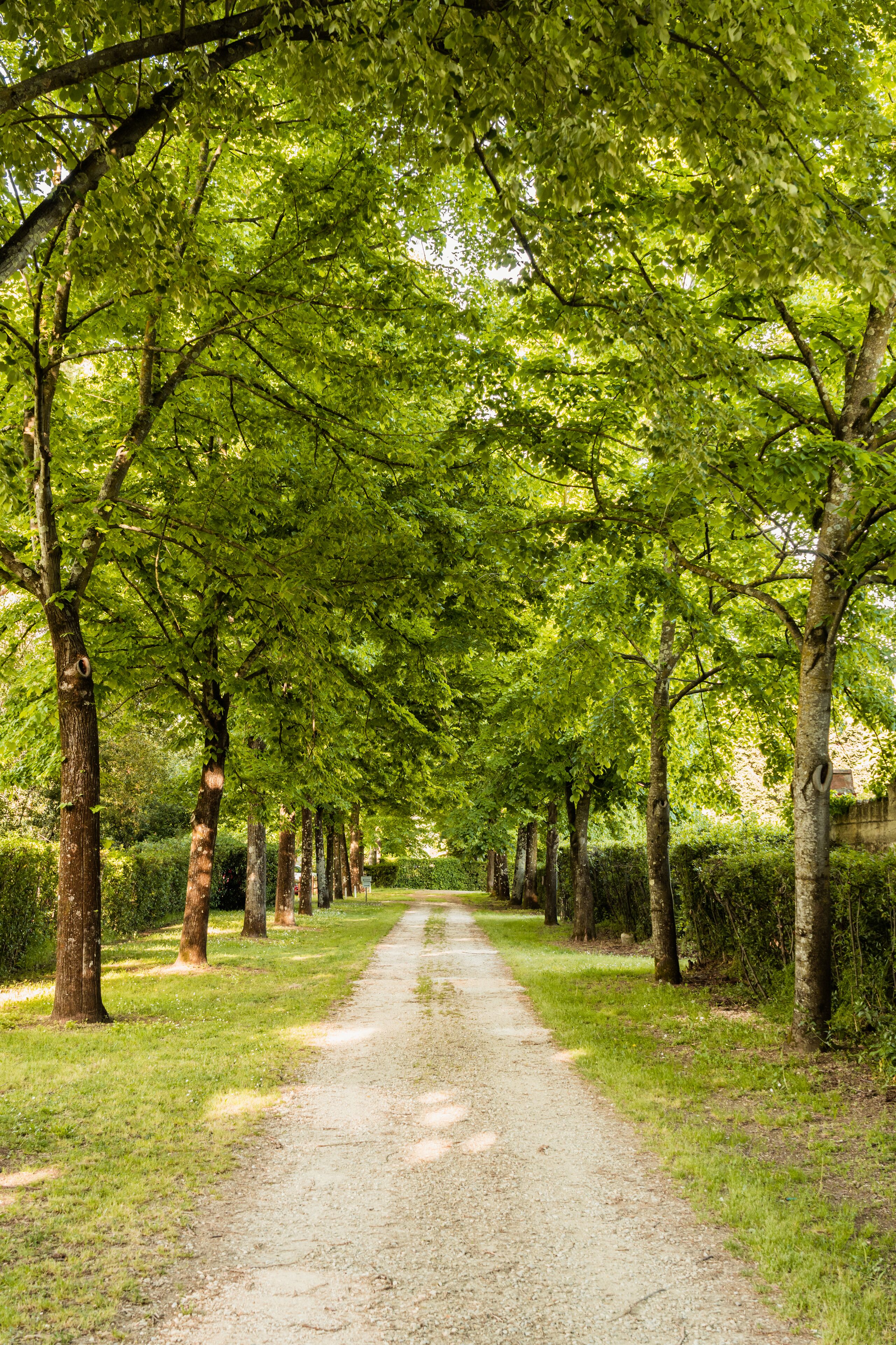 Foto - Rovezzano B&B