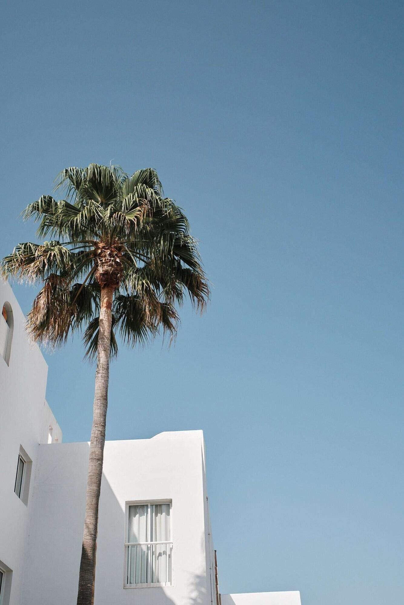 Photo - Prinsotel Alba & Spa