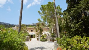 A courtyard with a stone building, potted plants, and a clear sky.
