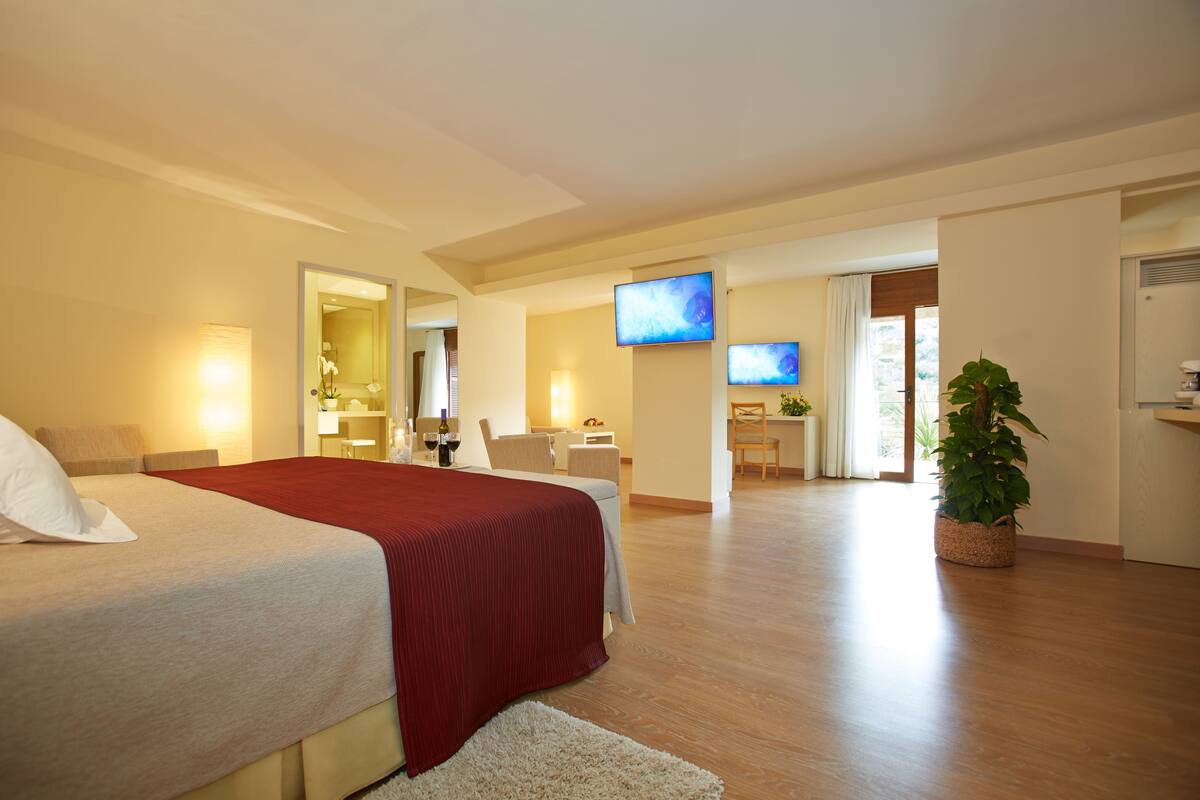 Ein Hotelzimmer mit Bett, Fernseher, Schreibtisch und Pflanze.