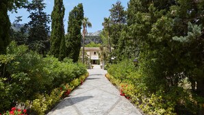 A stone pathway leading to a building surrounded by lush greenery and trees.