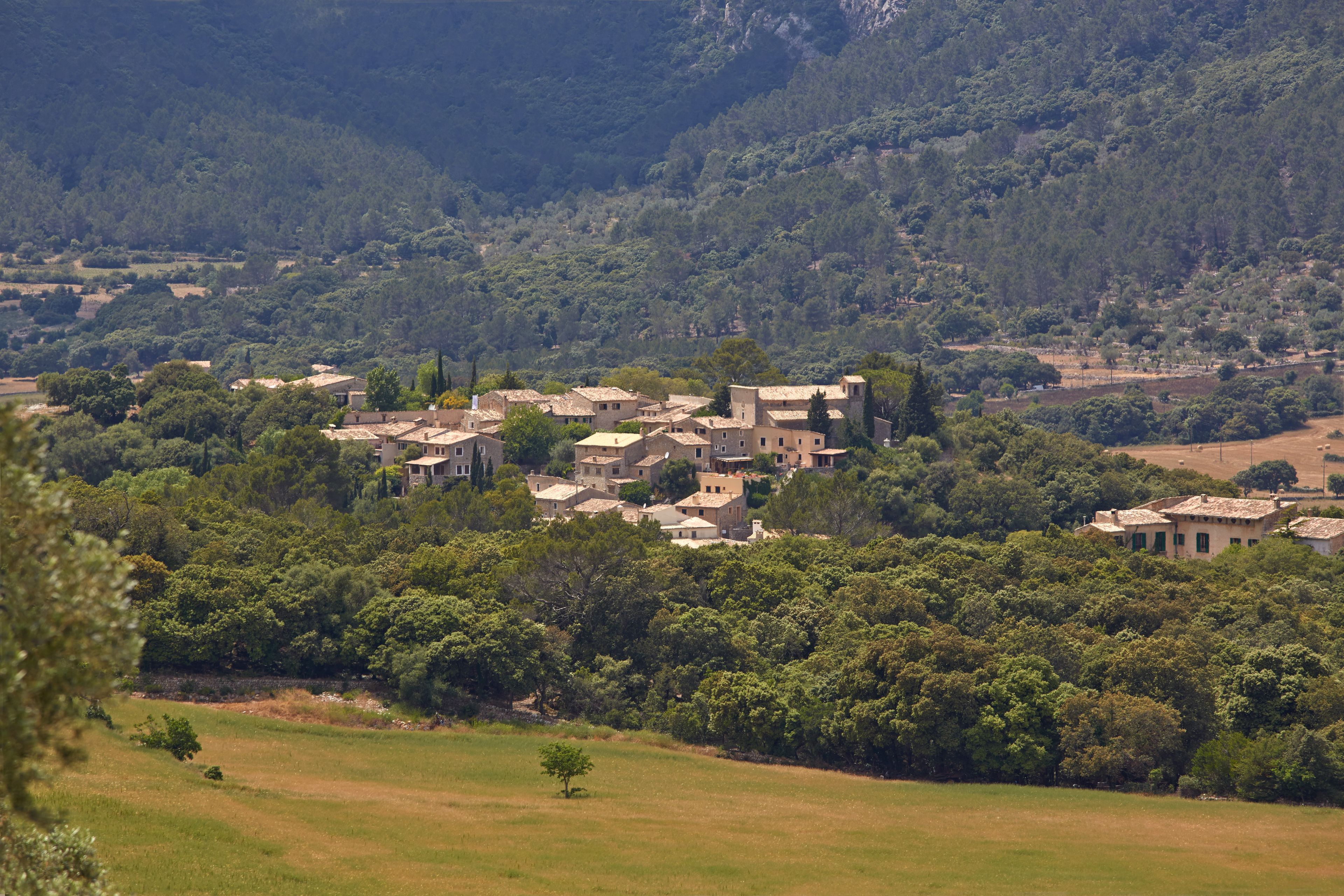 superior double room | mountain view