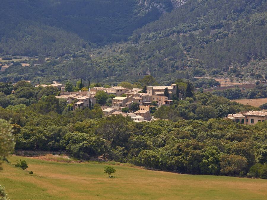 A rural village with traditional buildings surrounded by lush greenery and hills.