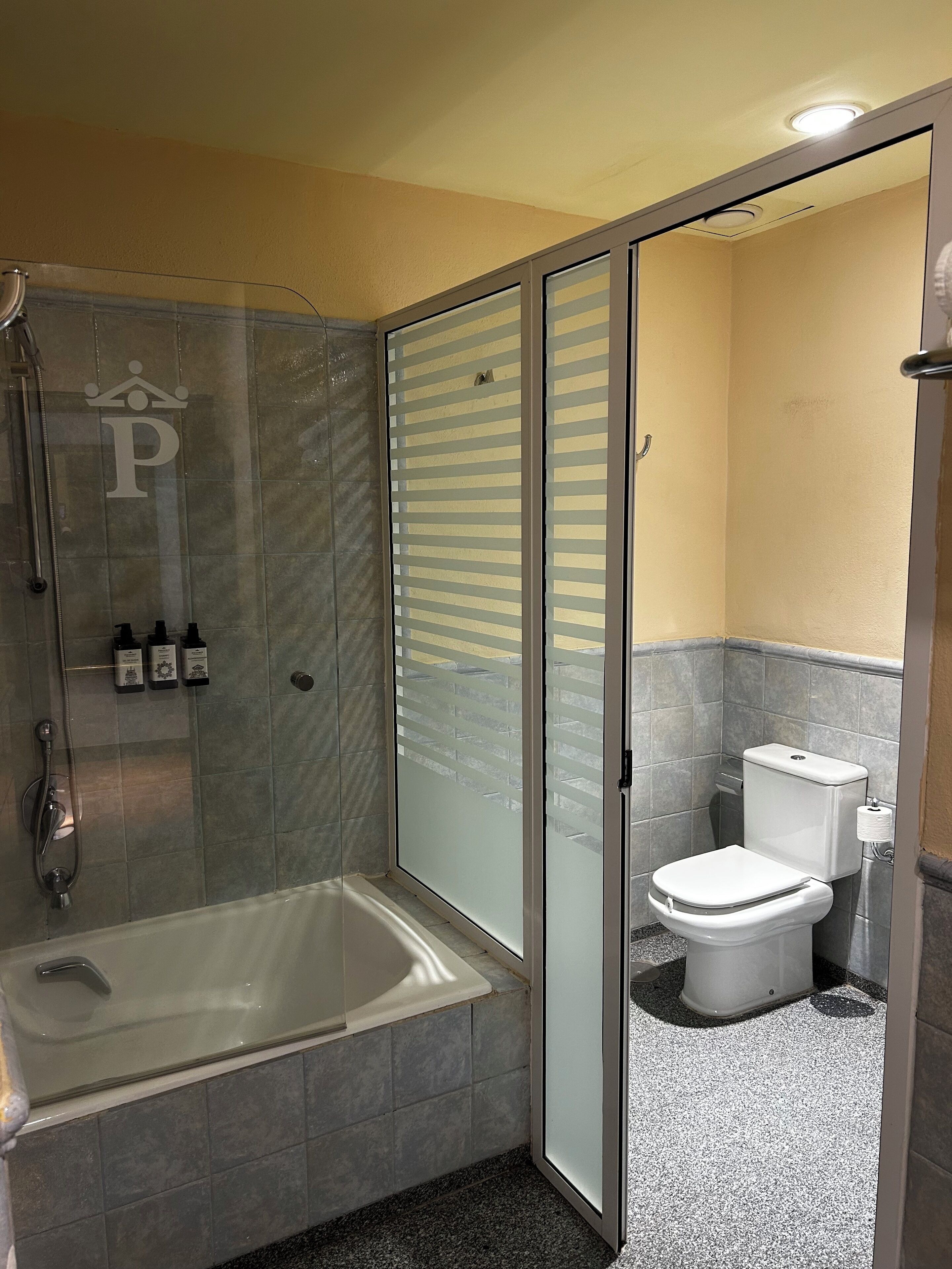 A bathroom with a glass-enclosed shower, a bathtub, and a toilet.
