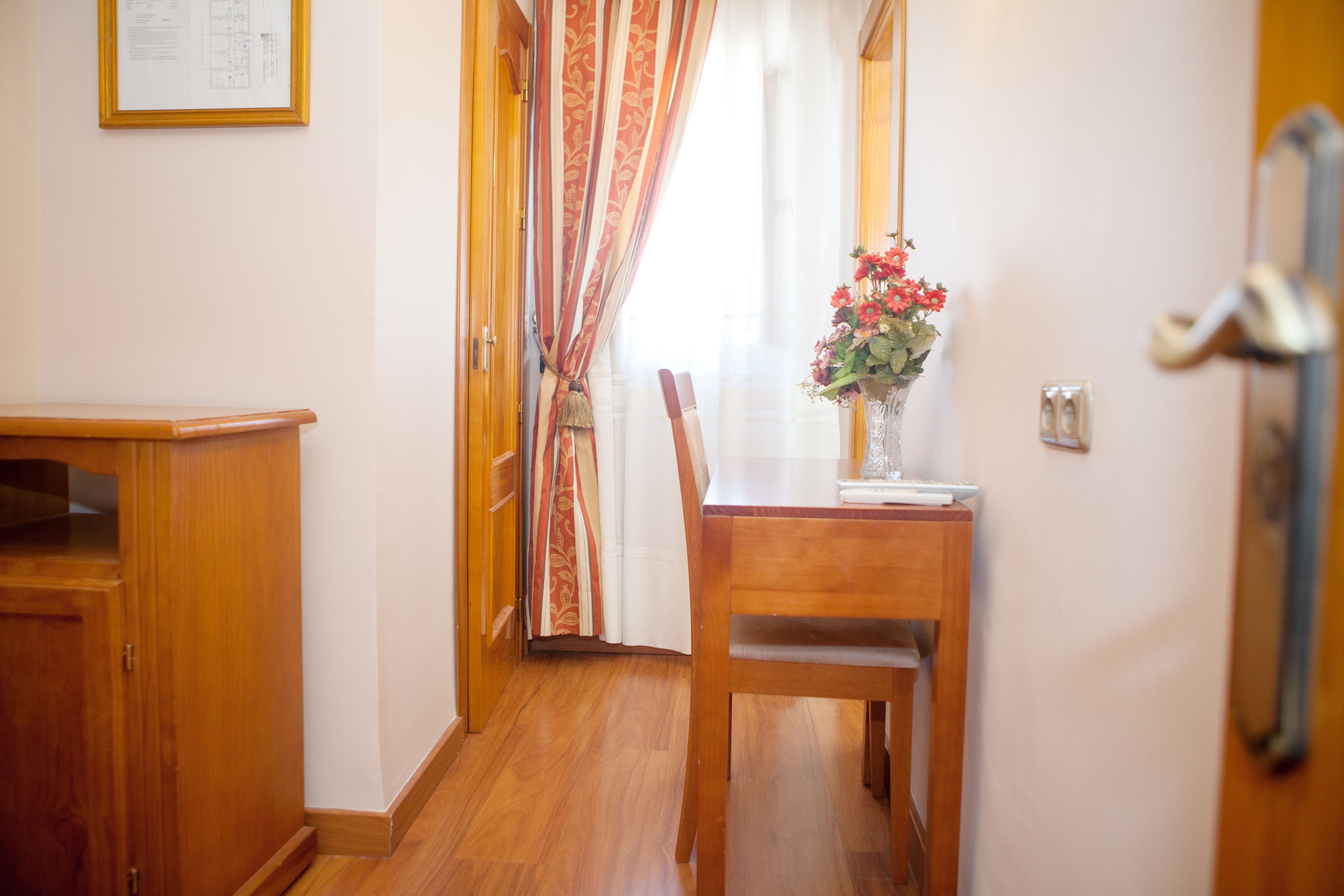 Habitación individual | Vista desde la habitación