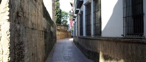 A narrow alleyway with stone walls and a paved path.