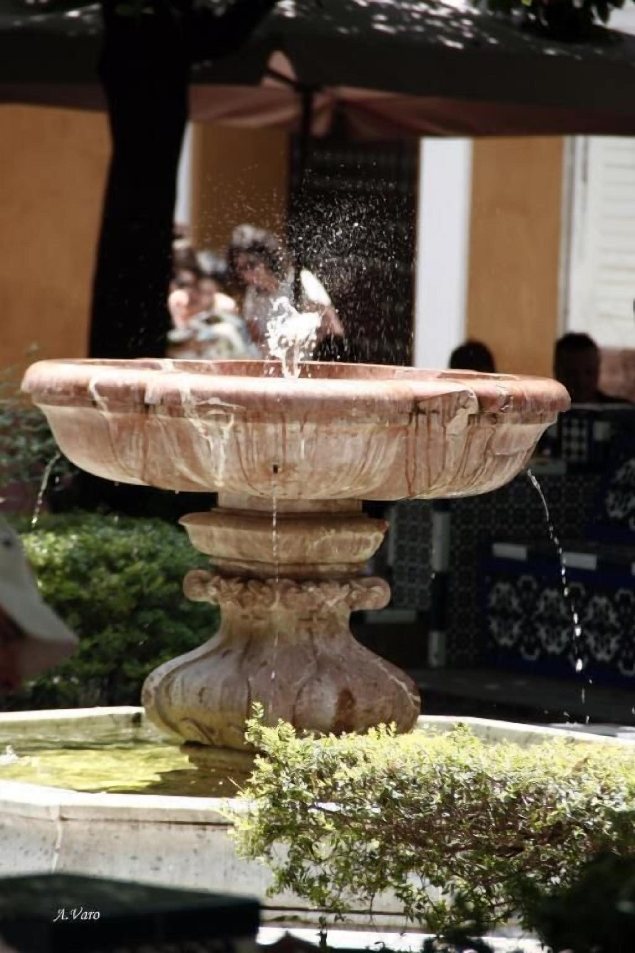 Photo - Hotel Doña Lina