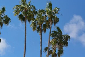 Private beach nearby, white sand, 20 beach bars