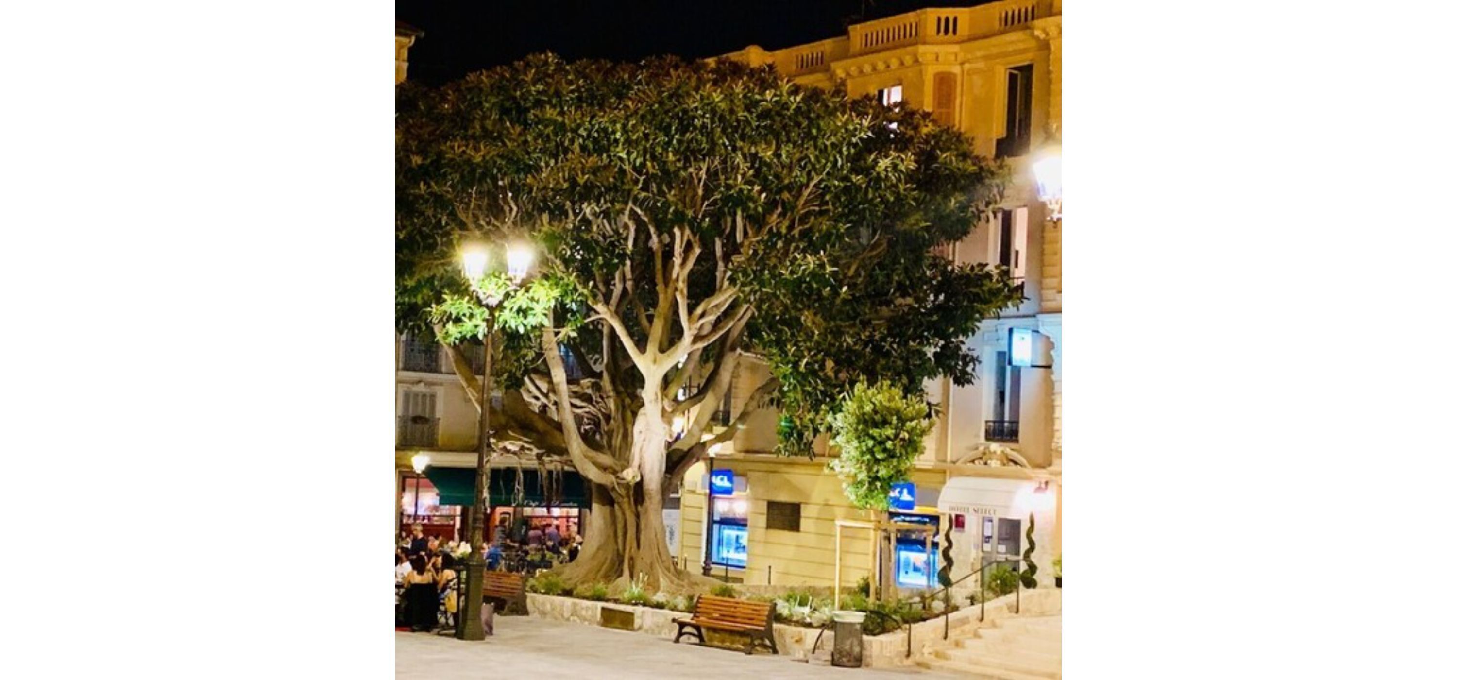 front of property – evening/night