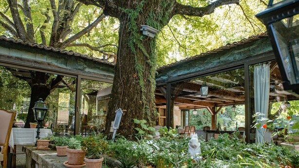 Jardin