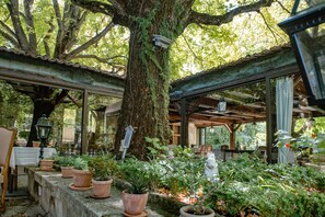 Jardim