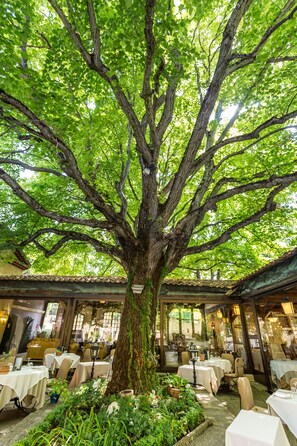 Breakfast, lunch and dinner served - Le Mas d'Entremont (Aix-en-Provence)